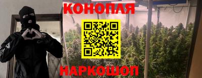 эйфоретик Тверь