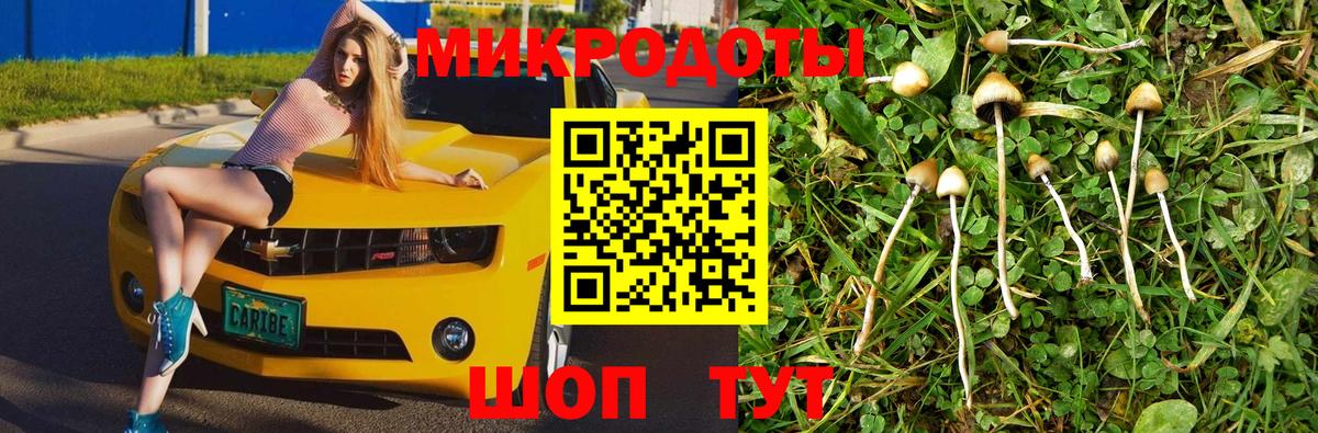 Псилоцибиновые грибы мицелий Вышний Волочёк