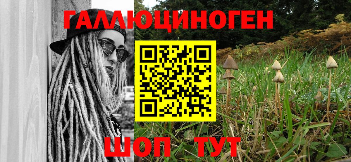 Вышний Волочёк  Галлюциногенные грибы Magic Shrooms  Вход с VPN 